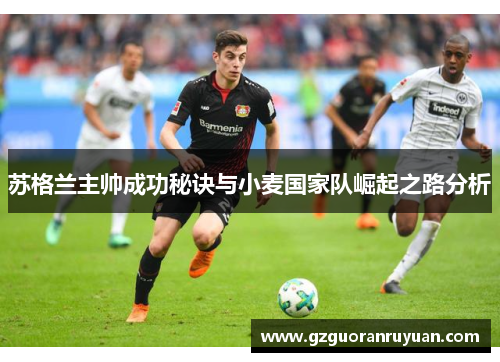 苏格兰主帅成功秘诀与小麦国家队崛起之路分析