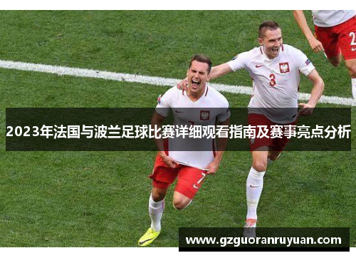 2023年法国与波兰足球比赛详细观看指南及赛事亮点分析
