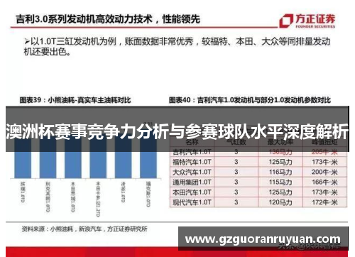 澳洲杯赛事竞争力分析与参赛球队水平深度解析