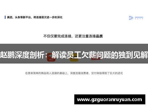 赵鹏深度剖析：解读员工欠薪问题的独到见解