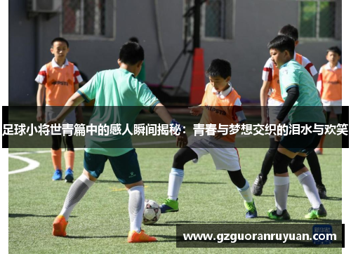 足球小将世青篇中的感人瞬间揭秘：青春与梦想交织的泪水与欢笑