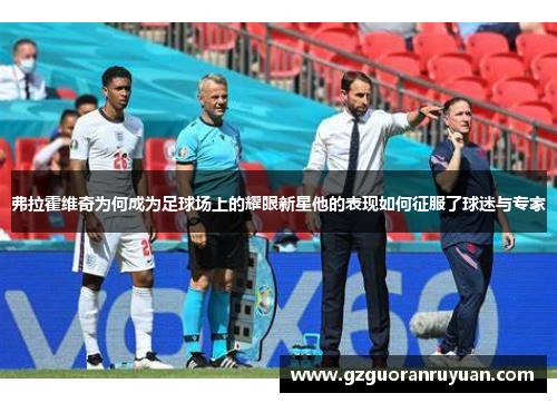 弗拉霍维奇为何成为足球场上的耀眼新星他的表现如何征服了球迷与专家